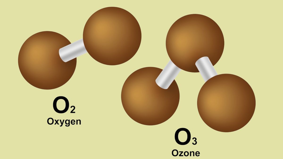 What is the difference between Oxygen(O₂) and Ozone (O₃)?
